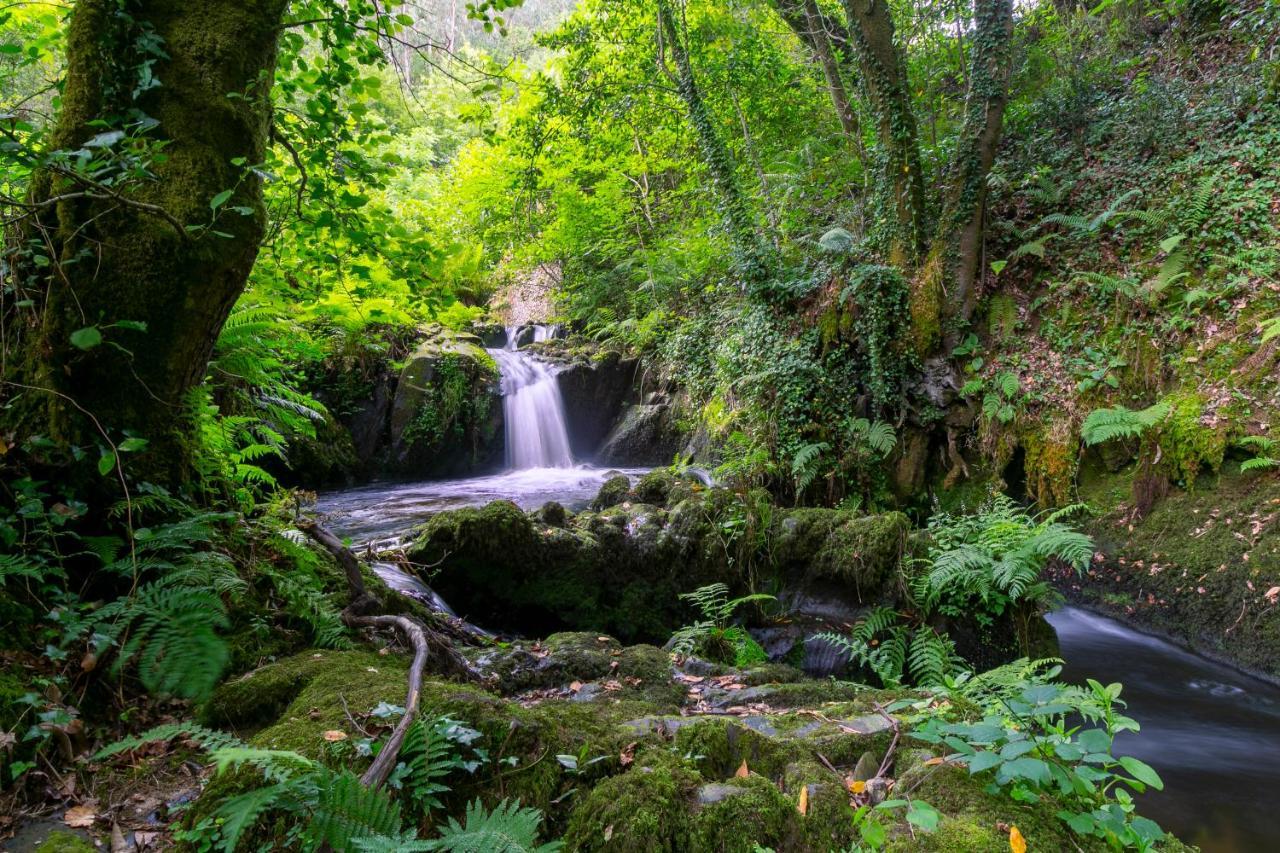 Casas Del Molino - Muinos Do Mainzoso Turismo Rural Paderne Bagian luar foto